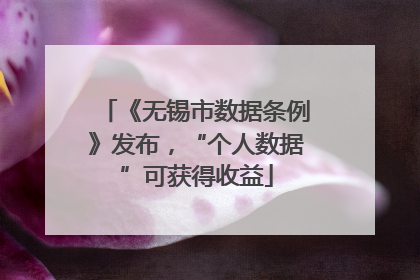 《无锡市数据条例》发布，“个人数据”可获得收益