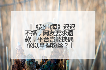 《赴山海》迟迟不播，网友要求退款，平台岂能挟偶像以拿捏粉丝？