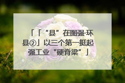 「“县”在图强·环县②」以三个第一挺起强工业“硬脊梁”