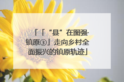 「“县”在图强·镇原③」走向乡村全面振兴的镇原轨迹