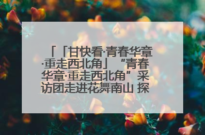 「甘快看·青春华章·重走西北角」“青春华章·重走西北角”采访团走进花舞南山 探寻天水乡村振兴之路