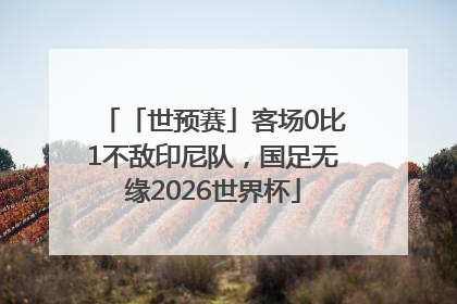 「世预赛」客场0比1不敌印尼队，国足无缘2026世界杯