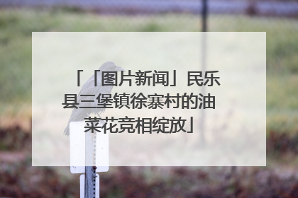 「图片新闻」民乐县三堡镇徐寨村的油菜花竞相绽放