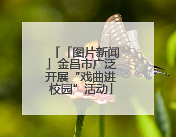 「图片新闻」金昌市广泛开展“戏曲进校园”活动