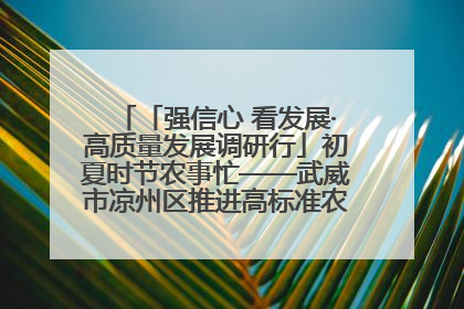 「强信心 看发展·高质量发展调研行」初夏时节农事忙——武威市凉州区推进高标准农田建设见闻