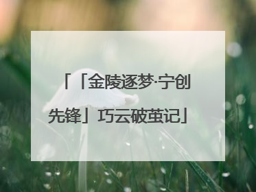 「金陵逐梦·宁创先锋」巧云破茧记