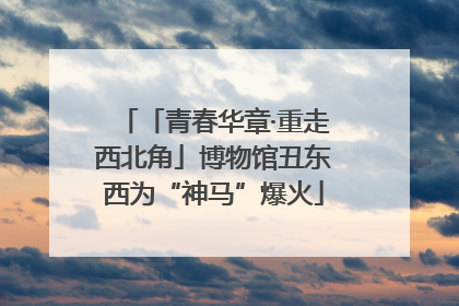 「青春华章·重走西北角」博物馆丑东西为“神马”爆火