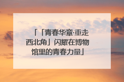 「青春华章·重走西北角」闪耀在博物馆里的青春力量
