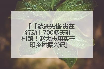 「黔进先锋·贵在行动」700多天驻村路！赵大志用实干印乡村振兴记