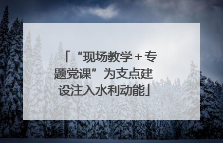 “现场教学＋专题党课”为支点建设注入水利动能