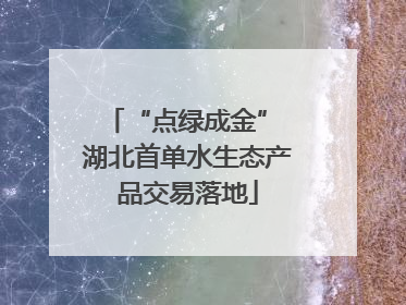 “点绿成金” 湖北首单水生态产品交易落地