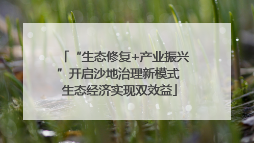“生态修复+产业振兴”开启沙地治理新模式 生态经济实现双效益