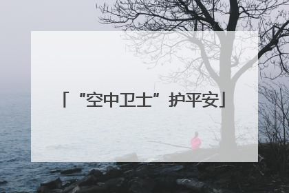 “空中卫士”护平安