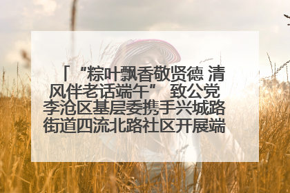 “粽叶飘香敬贤德 清风伴老话端午” 致公党李沧区基层委携手兴城路街道四流北路社区开展端午节主题活动