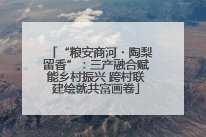 “粮安商河・陶梨留香”：三产融合赋能乡村振兴 跨村联建绘就共富画卷