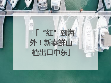 “红”到海外！新泰鲜山楂出口中东