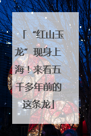 “红山玉龙”现身上海！来看五千多年前的这条龙