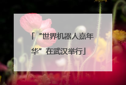 “世界机器人嘉年华”在武汉举行