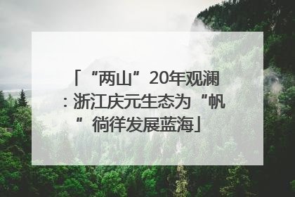 “两山”20年观澜：浙江庆元生态为“帆”徜徉发展蓝海