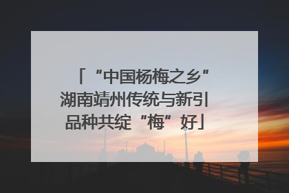 “中国杨梅之乡”湖南靖州传统与新引品种共绽“梅”好