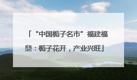 “中国栀子名市”福建福鼎：栀子花开，产业兴旺