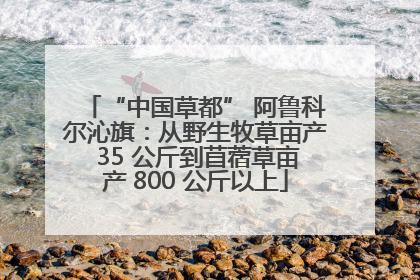 “中国草都” 阿鲁科尔沁旗：从野生牧草亩产 35 公斤到苜蓿草亩产 800 公斤以上