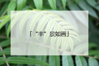 “丰”景如画