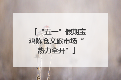 “五一”假期宝鸡陈仓文旅市场“热力全开”