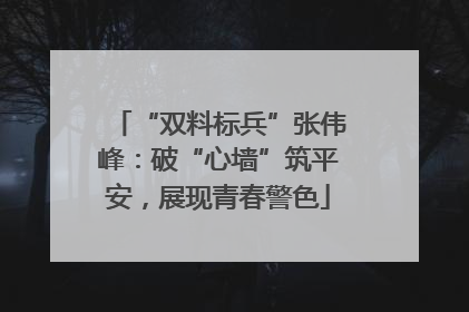 “双料标兵”张伟峰：破“心墙”筑平安，展现青春警色