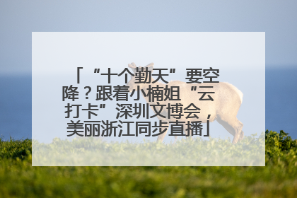 “十个勤天”要空降？跟着小楠姐“云打卡”深圳文博会，美丽浙江同步直播