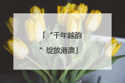 “千年越韵”绽放港澳