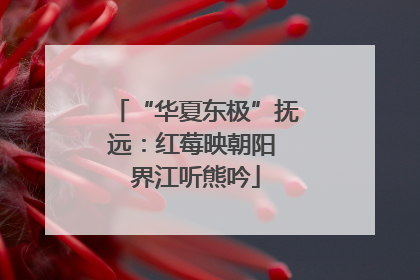 “华夏东极”抚远：红莓映朝阳 界江听熊吟