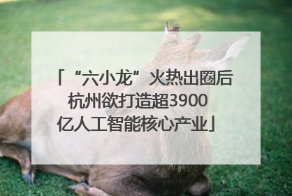 “六小龙”火热出圈后 杭州欲打造超3900亿人工智能核心产业