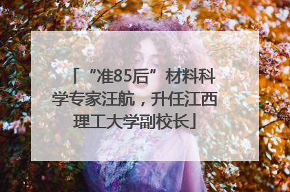 “准85后”材料科学专家汪航，升任江西理工大学副校长