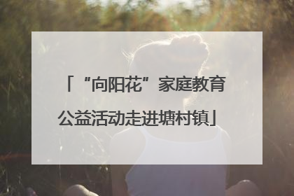 “向阳花”家庭教育公益活动走进塘村镇