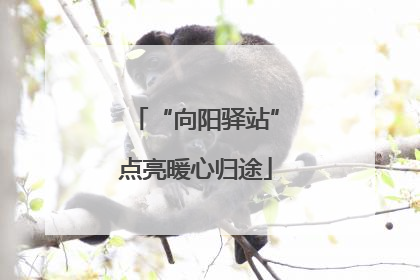 “向阳驿站”点亮暖心归途
