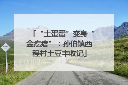 “土蛋蛋”变身“金疙瘩”：孙伯镇西程村土豆丰收记