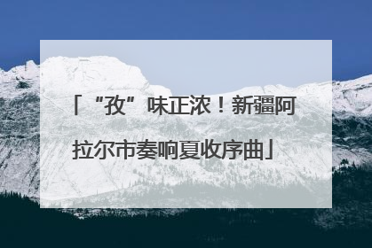 “孜”味正浓！新疆阿拉尔市奏响夏收序曲