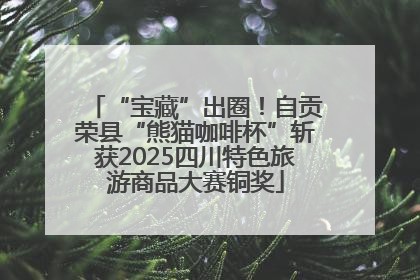 “宝藏”出圈！自贡荣县“熊猫咖啡杯”斩获2025四川特色旅游商品大赛铜奖