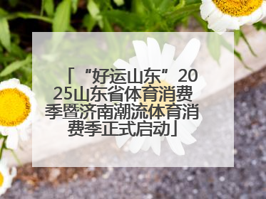 “好运山东”2025山东省体育消费季暨济南潮流体育消费季正式启动