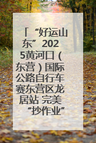 “好运山东”2025黄河口（东营）国际公路自行车赛东营区龙居站 完美“抄作业”，苦战最后时刻黄衫易主