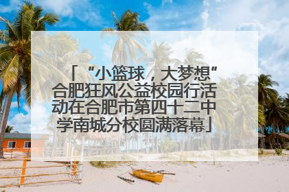 “小篮球，大梦想”合肥狂风公益校园行活动在合肥市第四十二中学南城分校圆满落幕