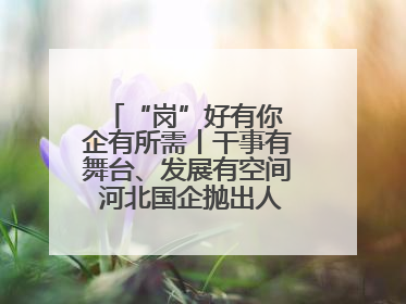 “岗”好有你 企有所需丨干事有舞台、发展有空间 河北国企抛出人才“橄榄枝”