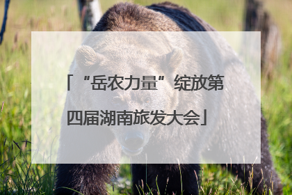 “岳农力量”绽放第四届湖南旅发大会
