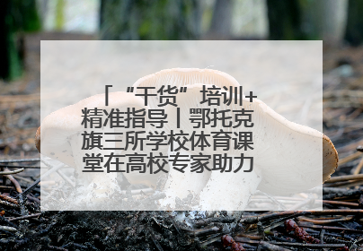 “干货”培训+精准指导丨鄂托克旗三所学校体育课堂在高校专家助力下“提质增效”