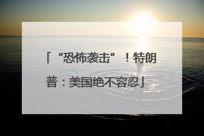 “恐怖袭击”！特朗普：美国绝不容忍