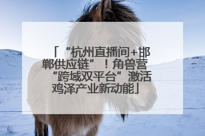 “杭州直播间+邯郸供应链”！角兽营“跨域双平台”激活鸡泽产业新动能
