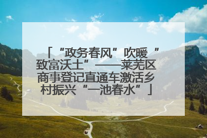 “政务春风”吹暖“致富沃土”——莱芜区商事登记直通车激活乡村振兴“一池春水”