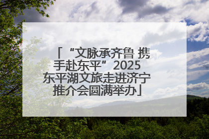 “文脉承齐鲁 携手赴东平”2025东平湖文旅走进济宁推介会圆满举办
