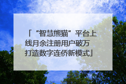 “智慧熊猫”平台上线月余注册用户破万 打造数字连侨新模式